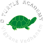 D Turtle Academy